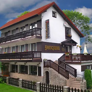 https://willa-gencjana.szklarskaporebahotels.net